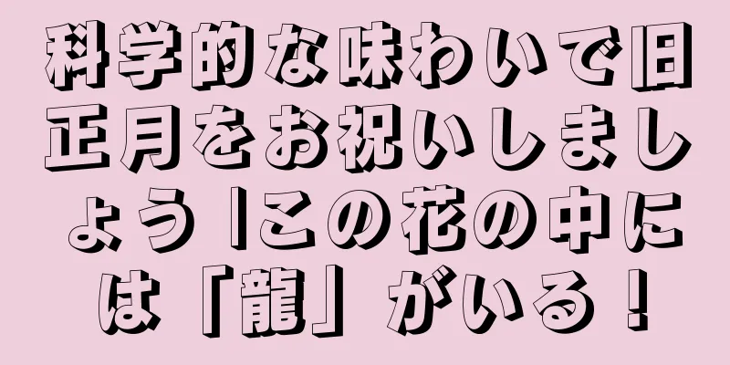 科学的な味わいで旧正月をお祝いしましょう |この花の中には「龍」がいる！