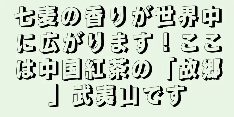 七麦の香りが世界中に広がります！ここは中国紅茶の「故郷」武夷山です
