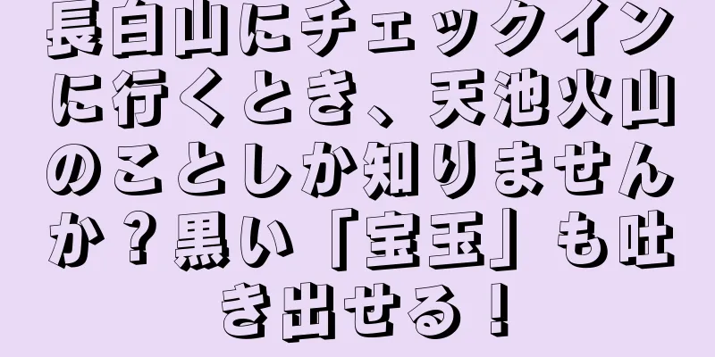 長白山にチェックインに行くとき、天池火山のことしか知りませんか？黒い「宝玉」も吐き出せる！