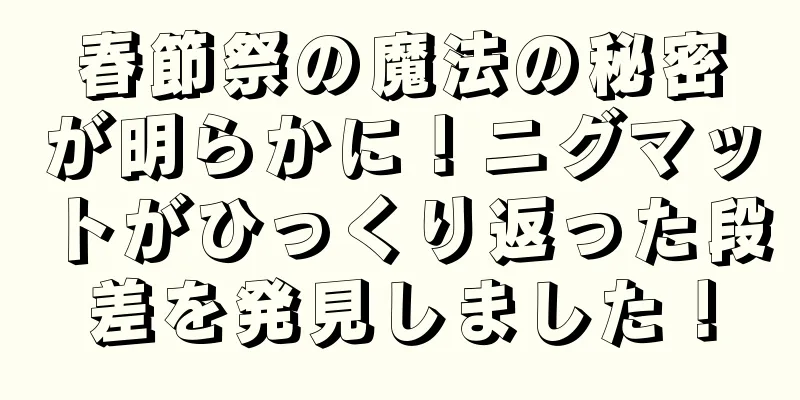 春節祭の魔法の秘密が明らかに！ニグマットがひっくり返った段差を発見しました！