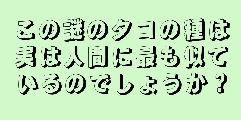 この謎のタコの種は実は人間に最も似ているのでしょうか？