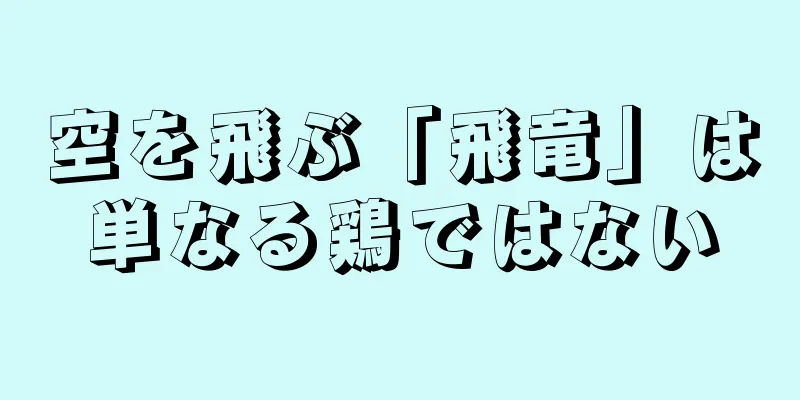 空を飛ぶ「飛竜」は単なる鶏ではない
