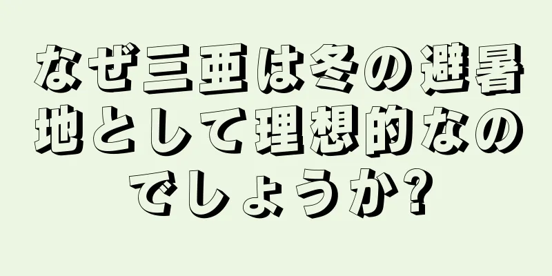 なぜ三亜は冬の避暑地として理想的なのでしょうか?