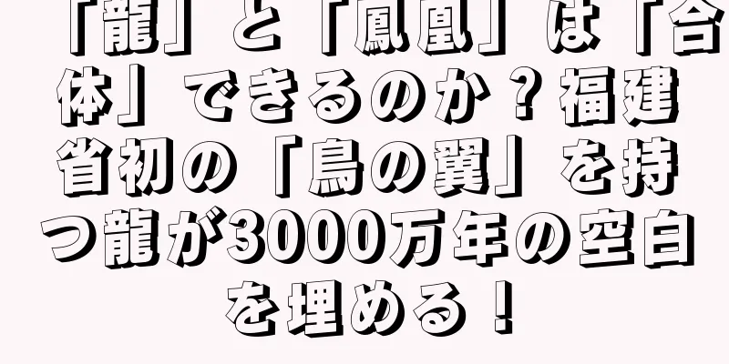 「龍」と「鳳凰」は「合体」できるのか？福建省初の「鳥の翼」を持つ龍が3000万年の空白を埋める！