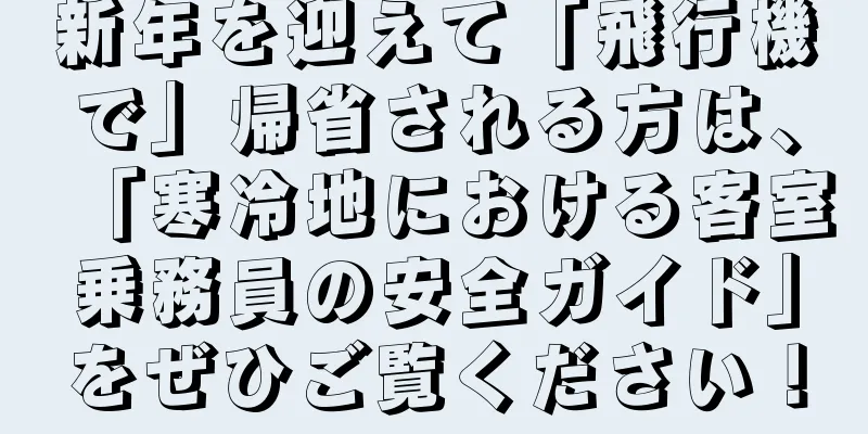 新年を迎えて「飛行機で」帰省される方は、「寒冷地における客室乗務員の安全ガイド」をぜひご覧ください！