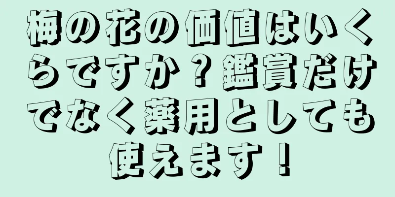梅の花の価値はいくらですか？鑑賞だけでなく薬用としても使えます！