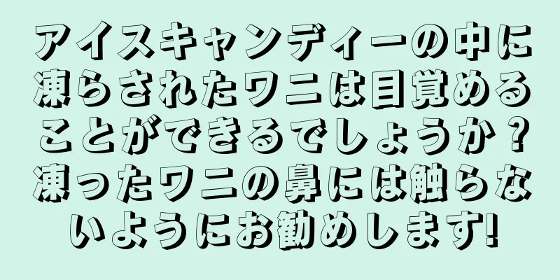 アイスキャンディーの中に凍らされたワニは目覚めることができるでしょうか？凍ったワニの鼻には触らないようにお勧めします!