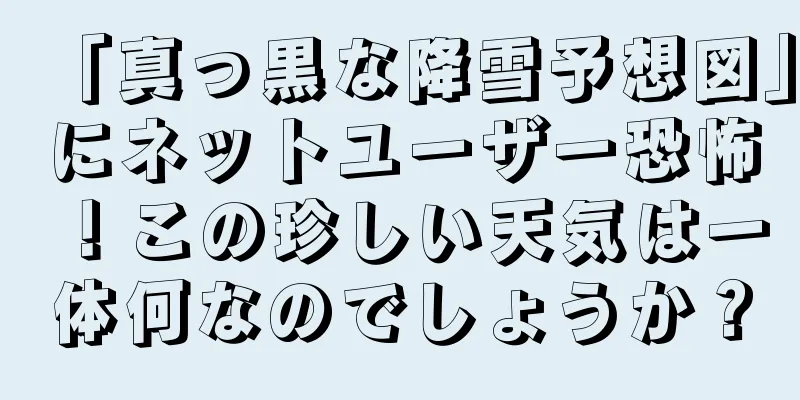 「真っ黒な降雪予想図」にネットユーザー恐怖！この珍しい天気は一体何なのでしょうか？
