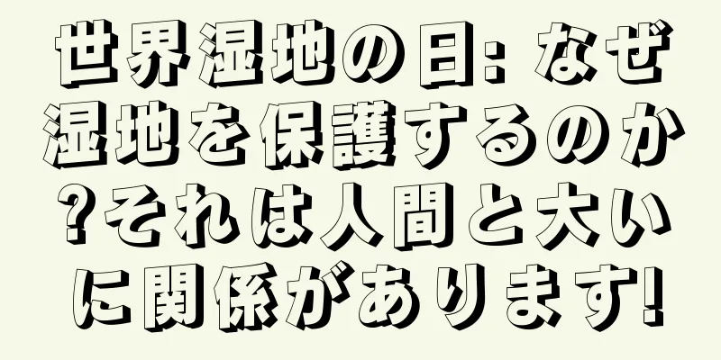 世界湿地の日: なぜ湿地を保護するのか?それは人間と大いに関係があります!