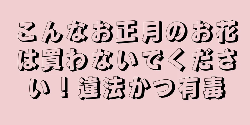 こんなお正月のお花は買わないでください！違法かつ有毒
