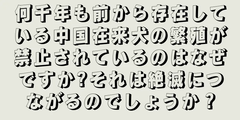 何千年も前から存在している中国在来犬の繁殖が禁止されているのはなぜですか?それは絶滅につながるのでしょうか？