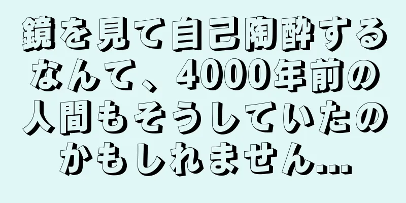 鏡を見て自己陶酔するなんて、4000年前の人間もそうしていたのかもしれません...