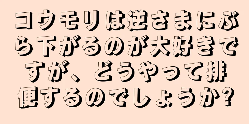 コウモリは逆さまにぶら下がるのが大好きですが、どうやって排便するのでしょうか?