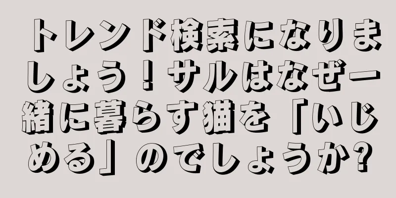トレンド検索になりましょう！サルはなぜ一緒に暮らす猫を「いじめる」のでしょうか?