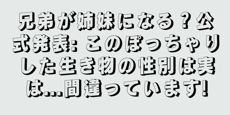 兄弟が姉妹になる？公式発表: このぽっちゃりした生き物の性別は実は...間違っています!