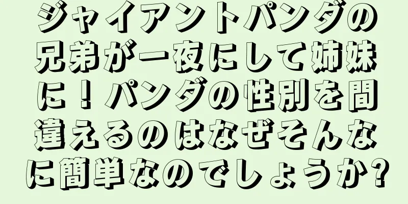 ジャイアントパンダの兄弟が一夜にして姉妹に！パンダの性別を間違えるのはなぜそんなに簡単なのでしょうか?