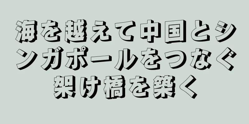 海を越えて中国とシンガポールをつなぐ架け橋を築く