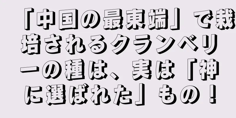 「中国の最東端」で栽培されるクランベリーの種は、実は「神に選ばれた」もの！