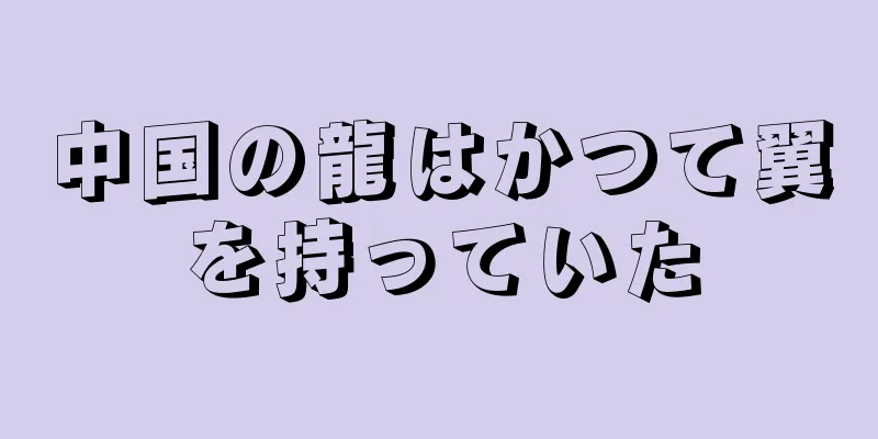 中国の龍はかつて翼を持っていた