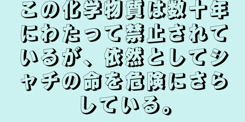 この化学物質は数十年にわたって禁止されているが、依然としてシャチの命を危険にさらしている。