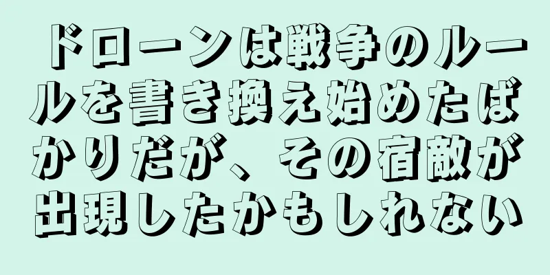 ドローンは戦争のルールを書き換え始めたばかりだが、その宿敵が出現したかもしれない