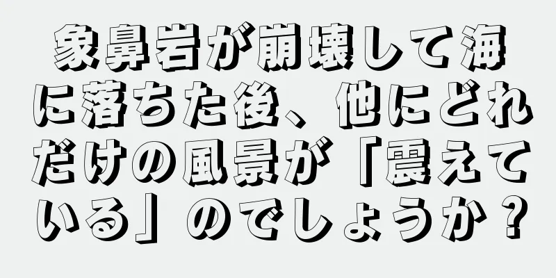 象鼻岩が崩壊して海に落ちた後、他にどれだけの風景が「震えている」のでしょうか？