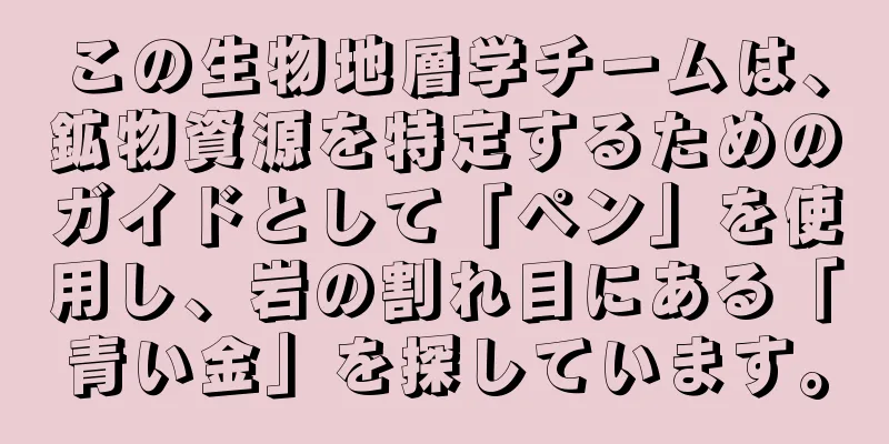 この生物地層学チームは、鉱物資源を特定するためのガイドとして「ペン」を使用し、岩の割れ目にある「青い金」を探しています。