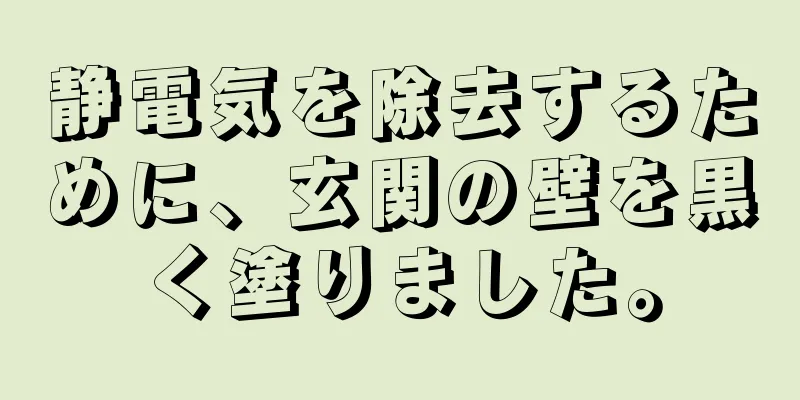 静電気を除去するために、玄関の壁を黒く塗りました。