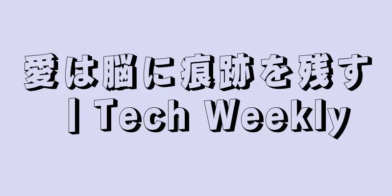 愛は脳に痕跡を残す丨Tech Weekly