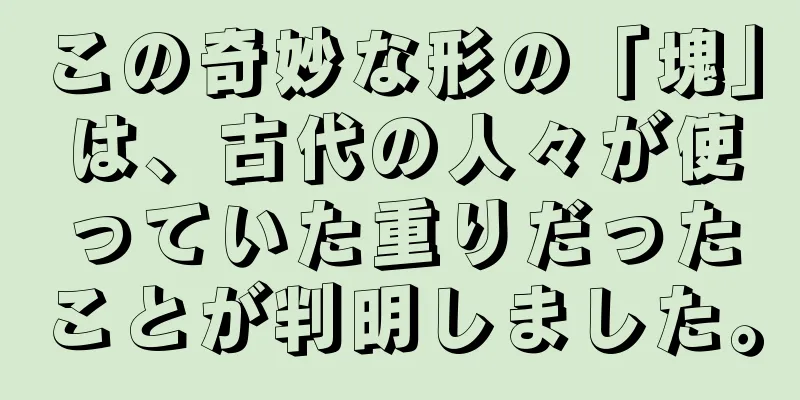 この奇妙な形の「塊」は、古代の人々が使っていた重りだったことが判明しました。