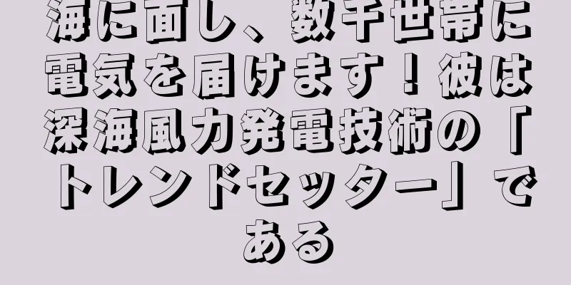 海に面し、数千世帯に電気を届けます！彼は深海風力発電技術の「トレンドセッター」である