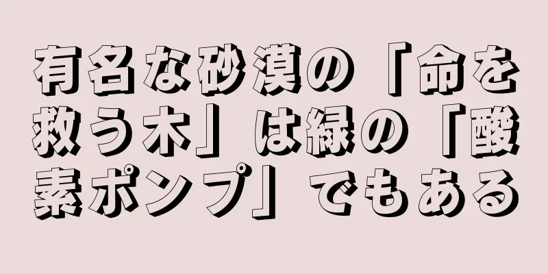 有名な砂漠の「命を救う木」は緑の「酸素ポンプ」でもある