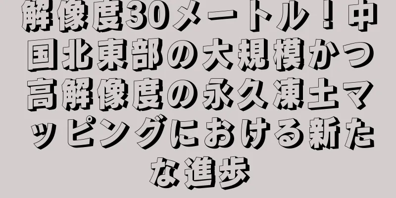 解像度30メートル！中国北東部の大規模かつ高解像度の永久凍土マッピングにおける新たな進歩