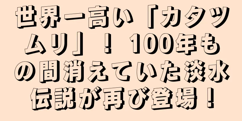 世界一高い「カタツムリ」！ 100年もの間消えていた淡水伝説が再び登場！
