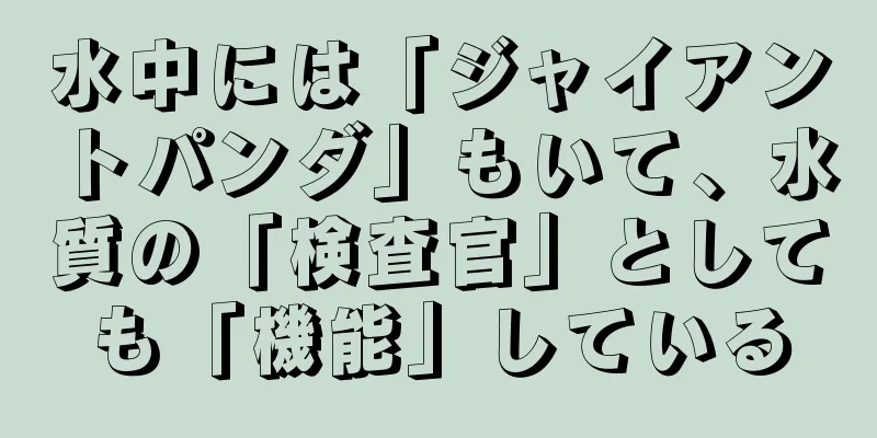 水中には「ジャイアントパンダ」もいて、水質の「検査官」としても「機能」している