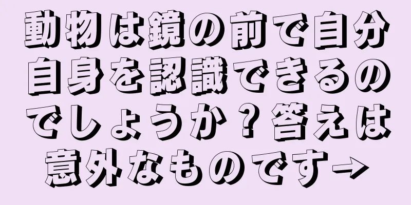 動物は鏡の前で自分自身を認識できるのでしょうか？答えは意外なものです→