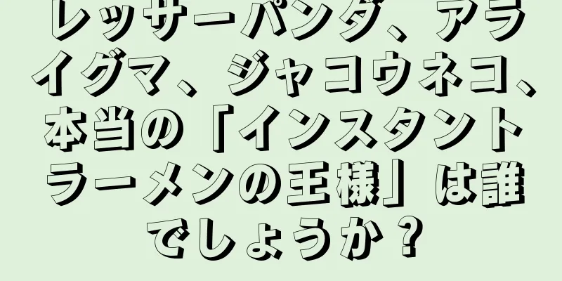レッサーパンダ、アライグマ、ジャコウネコ、本当の「インスタントラーメンの王様」は誰でしょうか？