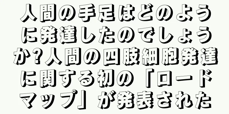 人間の手足はどのように発達したのでしょうか?人間の四肢細胞発達に関する初の「ロードマップ」が発表された