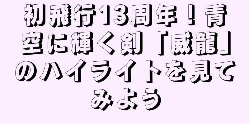 初飛行13周年！青空に輝く剣「威龍」のハイライトを見てみよう