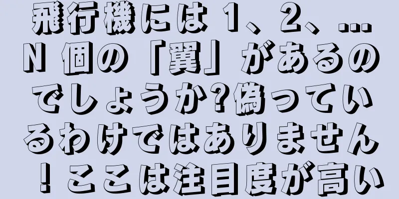飛行機には 1、2、...N 個の「翼」があるのでしょうか?偽っているわけではありません！ここは注目度が高い