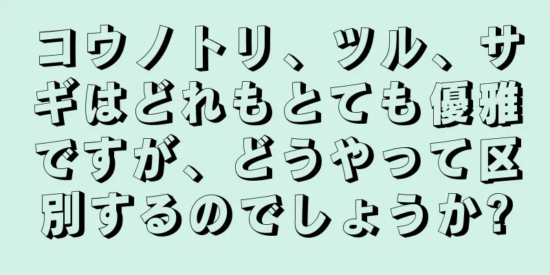 コウノトリ、ツル、サギはどれもとても優雅ですが、どうやって区別するのでしょうか?