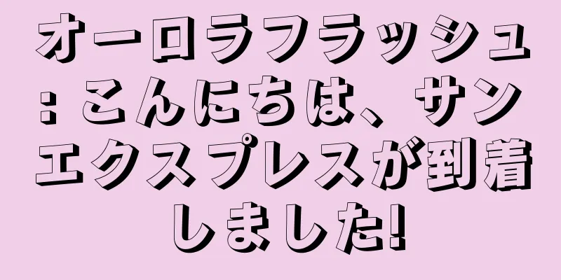 オーロラフラッシュ: こんにちは、サンエクスプレスが到着しました!