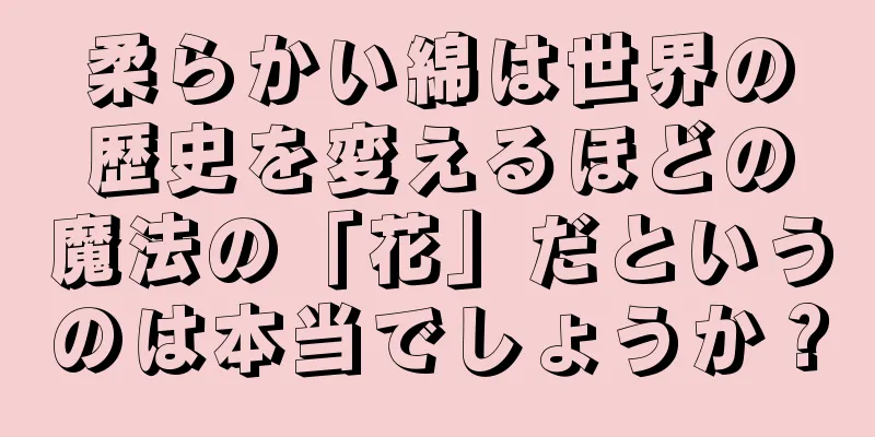 柔らかい綿は世界の歴史を変えるほどの魔法の「花」だというのは本当でしょうか？