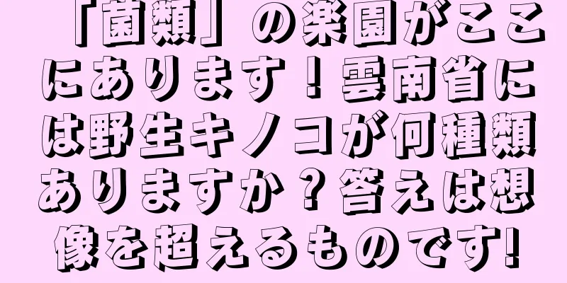 「菌類」の楽園がここにあります！雲南省には野生キノコが何種類ありますか？答えは想像を超えるものです!
