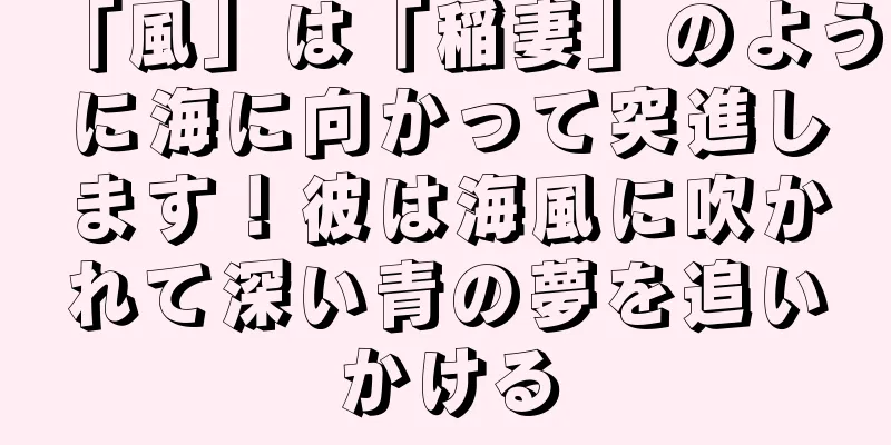 「風」は「稲妻」のように海に向かって突進します！彼は海風に吹かれて深い青の夢を追いかける