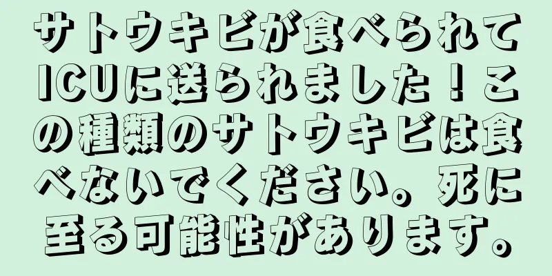 サトウキビが食べられてICUに送られました！この種類のサトウキビは食べないでください。死に至る可能性があります。