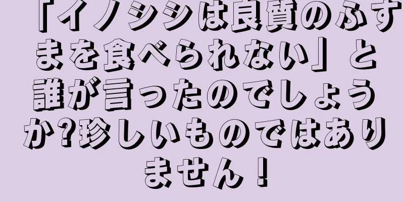 「イノシシは良質のふすまを食べられない」と誰が言ったのでしょうか?珍しいものではありません！