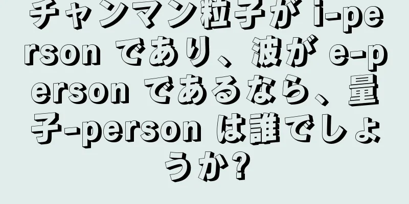 チャンマン粒子が i-person であり、波が e-person であるなら、量子-person は誰でしょうか?