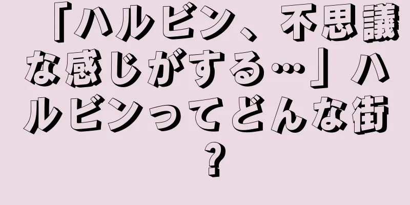 「ハルビン、不思議な感じがする…」ハルビンってどんな街？