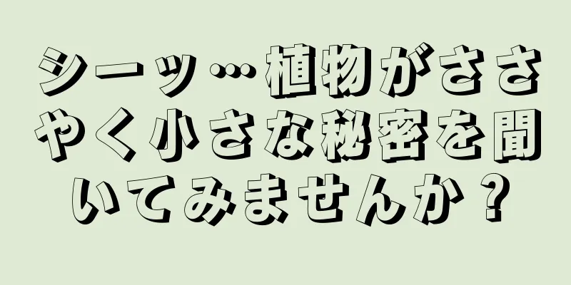 シーッ…植物がささやく小さな秘密を聞いてみませんか？